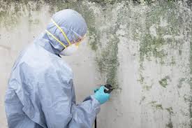 Best Residential Mold Inspection & Testing in North Hudson, WI